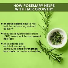 Rosemary Water, Hair Spray For Regrowth (Pack of 3)